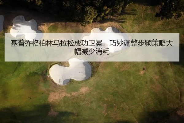 ji-pu-qiao-ge-bo-lin-ma-la-song-cheng-gong-wei-mian-qiao-miao-tiao-zheng-bu-pin-ce-lve-da-fu-jian-shao-xiao-hao-2-332.jpg